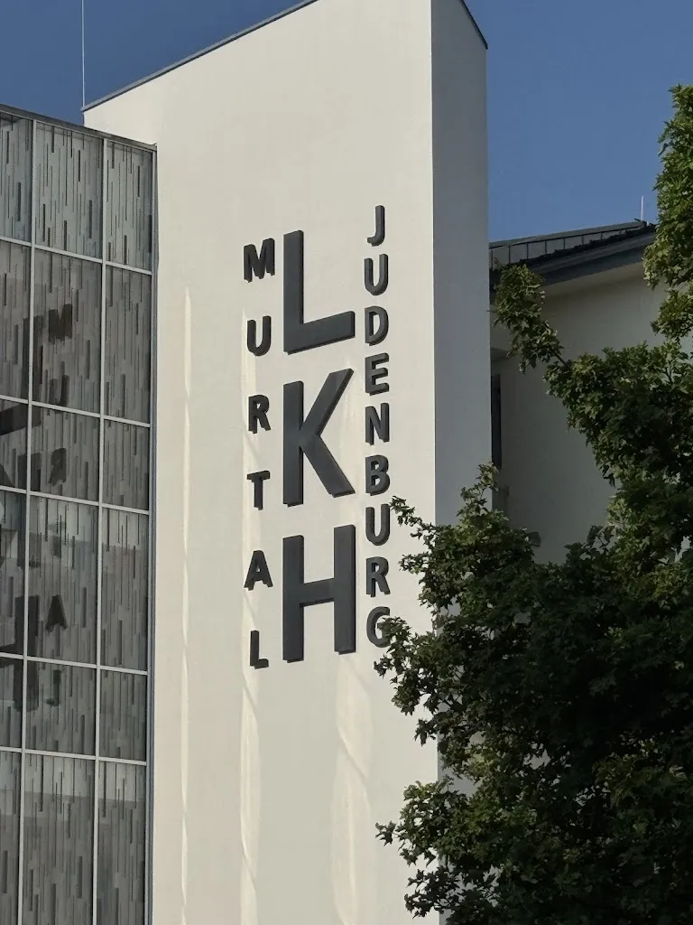 Landeskrankenhaus Murtal, location Judenburg_Politischer Bezirk Murtal_image_1