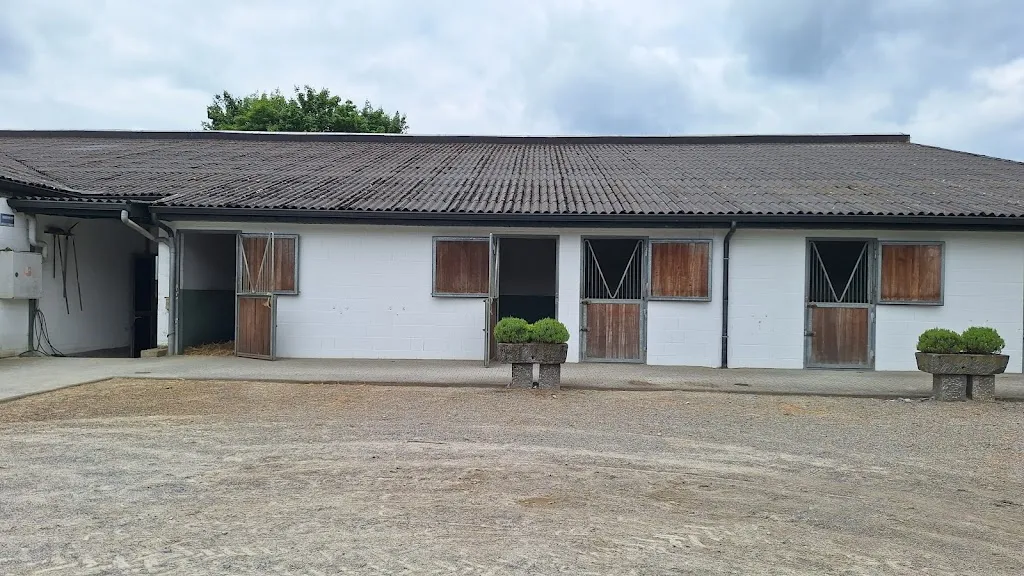Pferdepraxis Lichtenbusch GmbH in Raeren