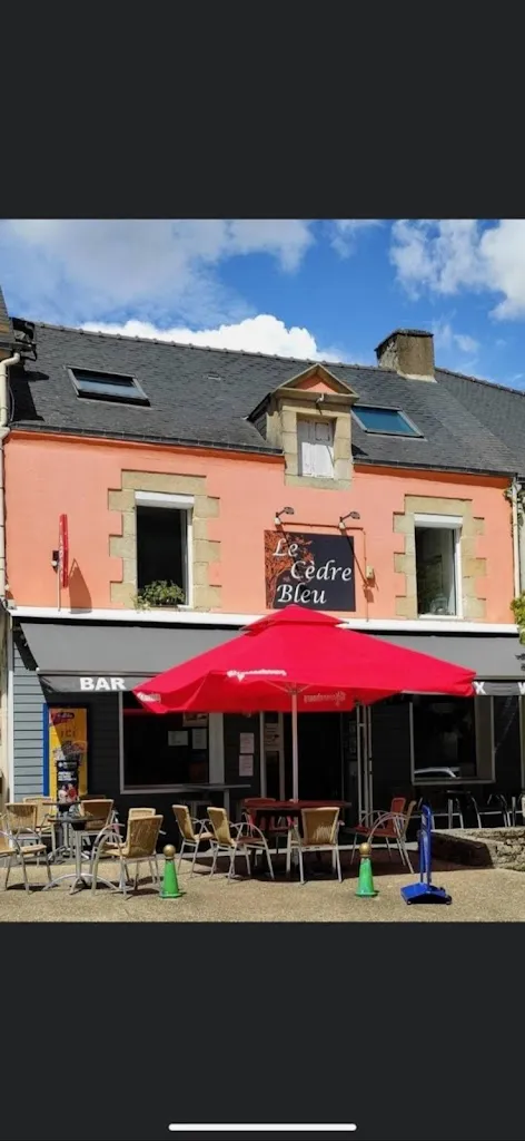 Le Cèdre Bleu doctor en Saint-Jacut-les-Pins