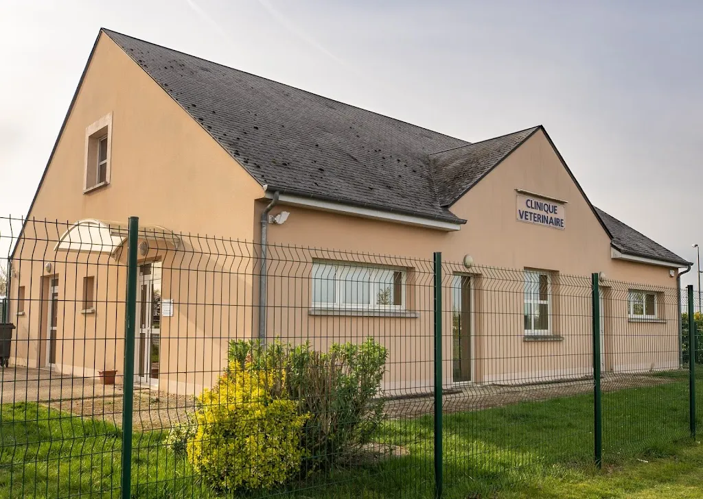 Clinique vétérinaire de la porte du Gâtinais_Dadonville_slider_immagine_1