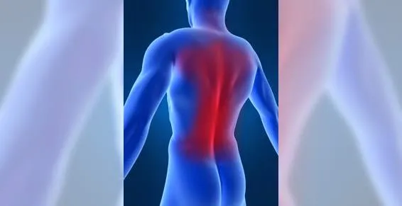 Nicolas HYM osteopathe D.O doctor in Quiers-sur-Bézonde