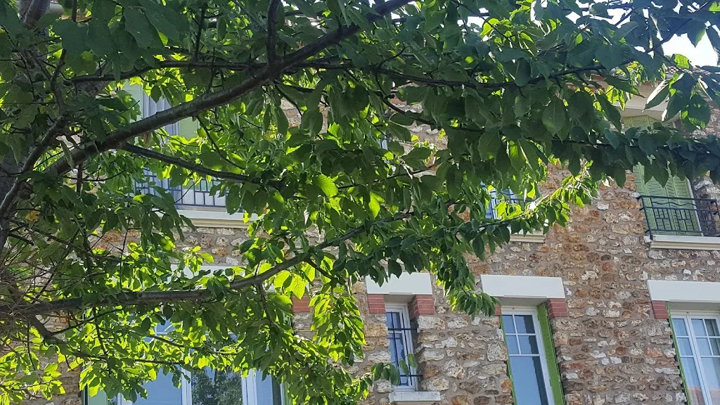 Cabinet Médical du Perray Arzt in Sainte-Geneviève-des-Bois