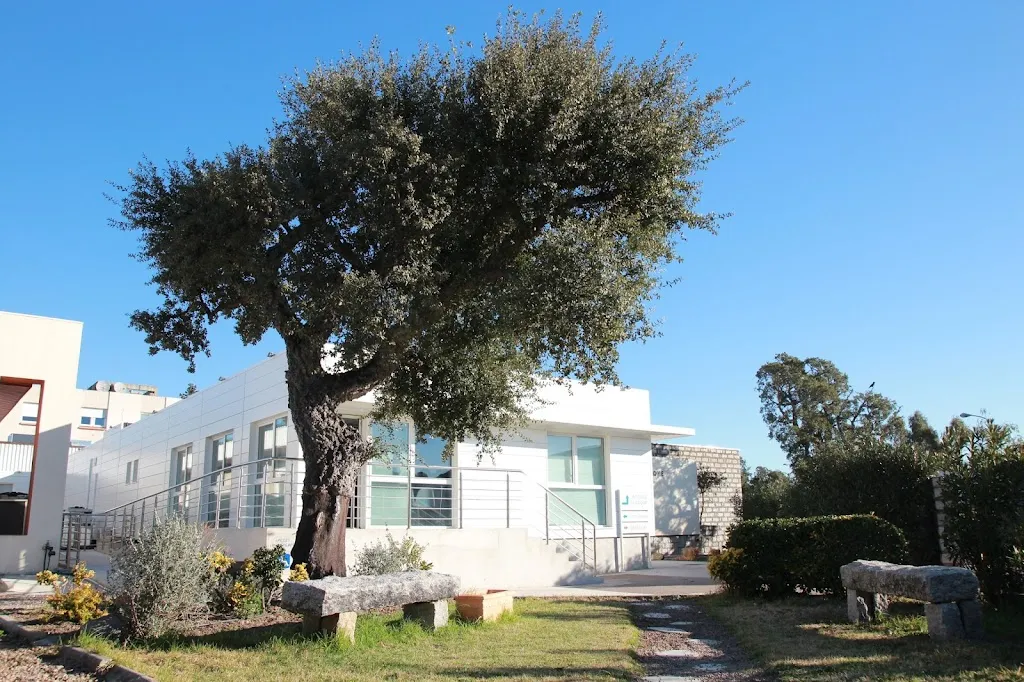Polyclinic South Corsica - Clinic Ospedale