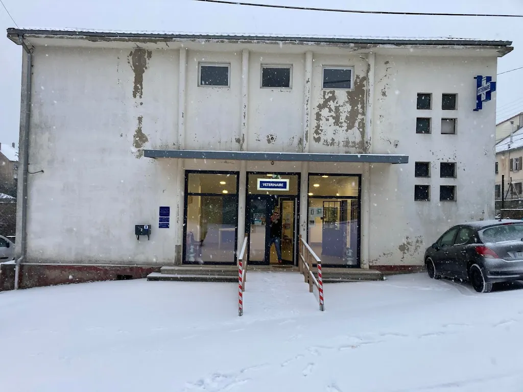 Clinique vétérinaire des grenouilles_Farschviller_slider_image_1