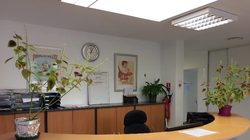 Dr Manuel VINCENT doctor in Berteaucourt-les-Dames