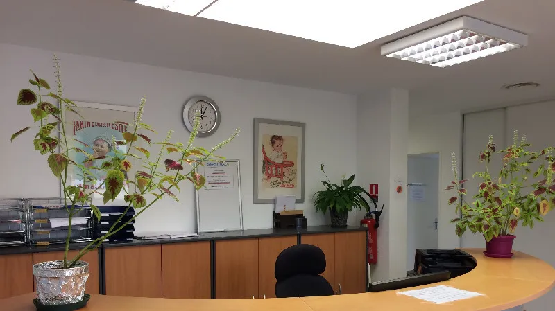 Dr Damien ROFFINO doctor in Corbie