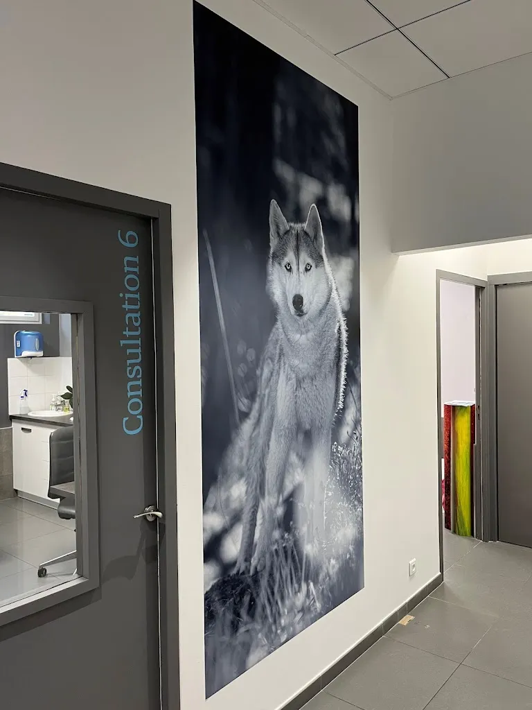 Clinique Vétérinaire AniCura Belleville_Charentay_slider_imagen_3