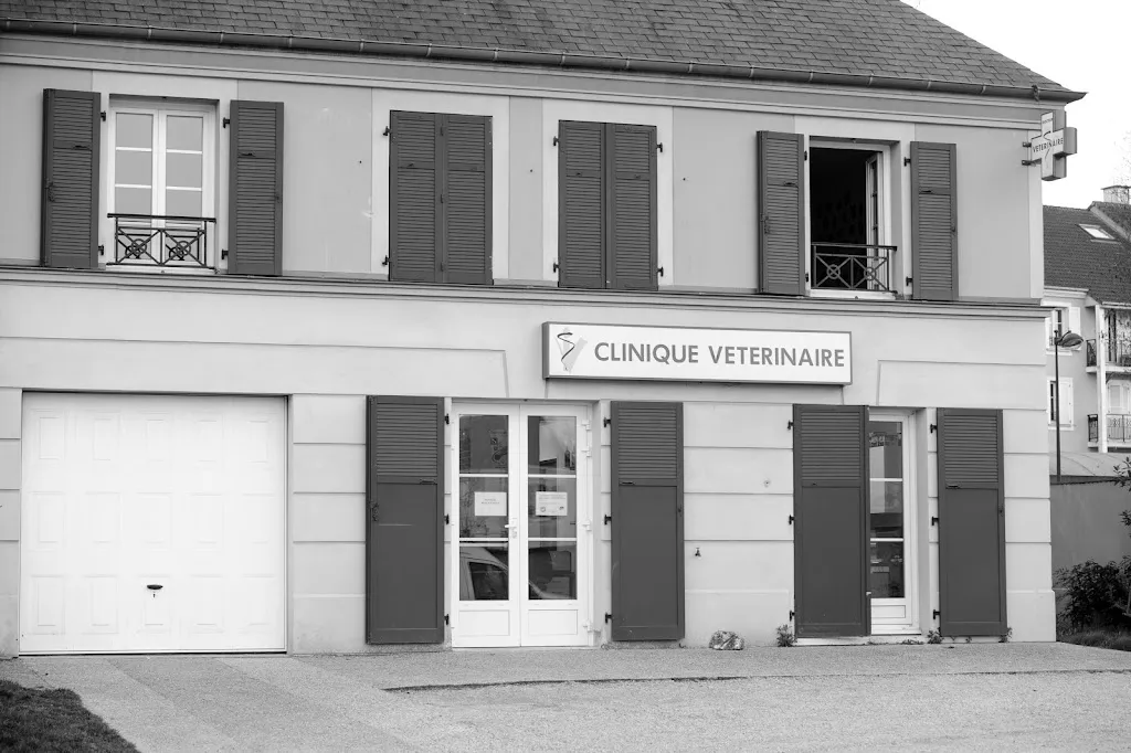 Clinique Vétérinaire Mon Véto Bailly_Bailly-Romainvilliers_slider_bild_2