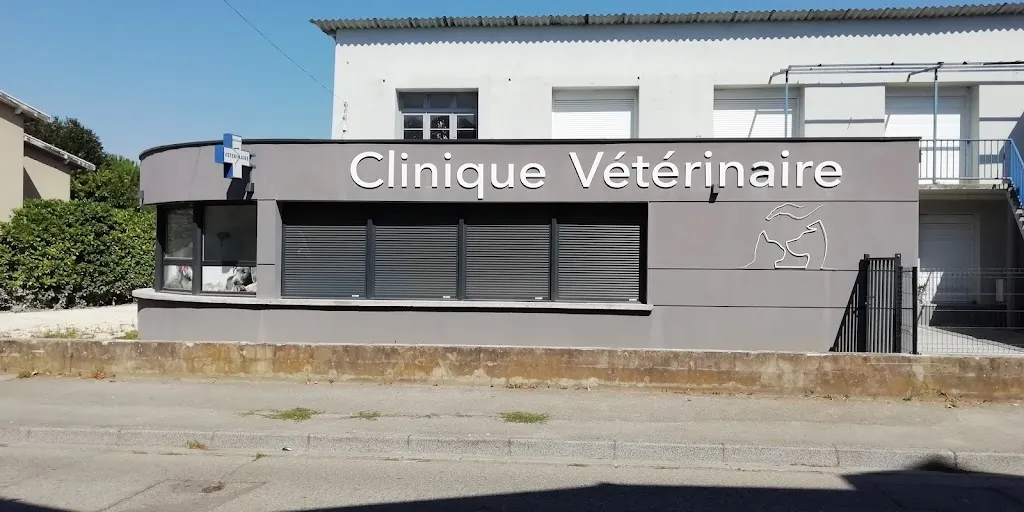 Clinique Vétérinaire de la ruche - Anneyron - Sevetys_Anneyron_slider_immagine_1