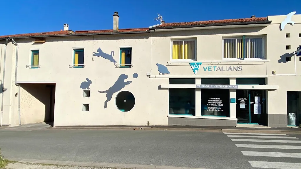 VetAlians Puy-Guillaume medico a Puy-Guillaume