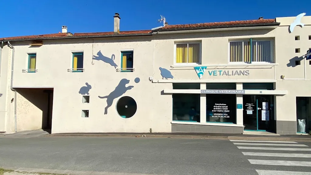 VetAlians Puy-Guillaume_Puy-Guillaume_slider_image_3
