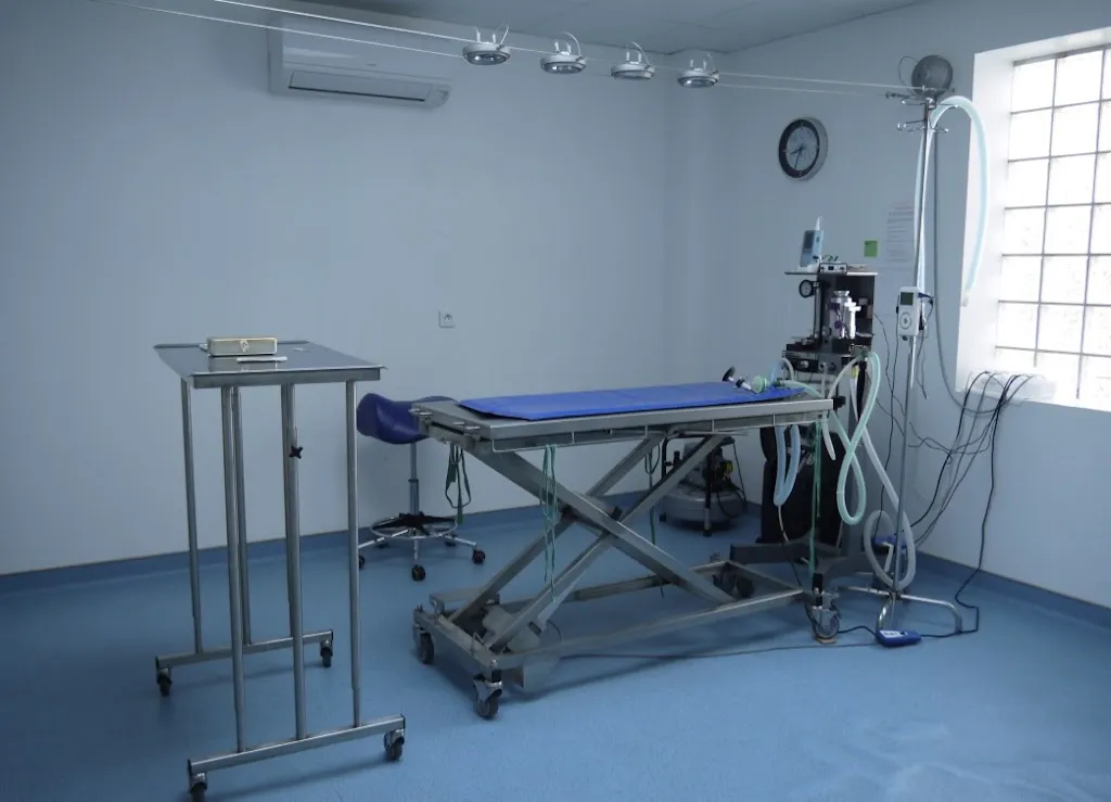 Veterinary Clinic of Écharrières_Saint-Jean-de-Bournay_slider_image_1