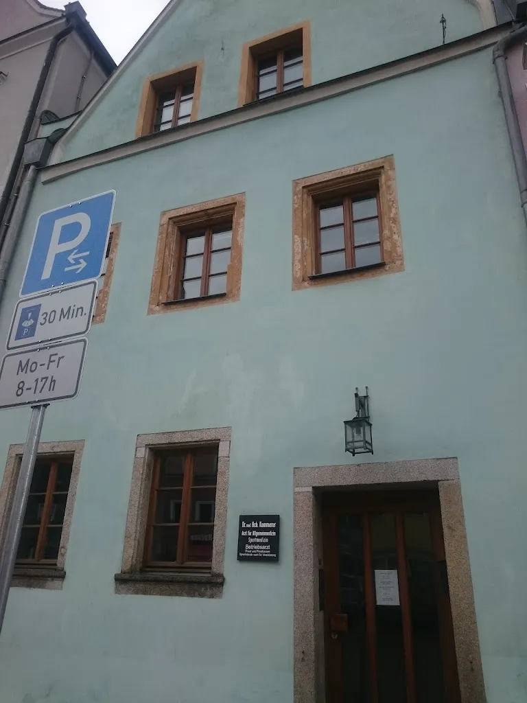 Heinrich Kammerer doctor en Neustadt an der Waldnaab