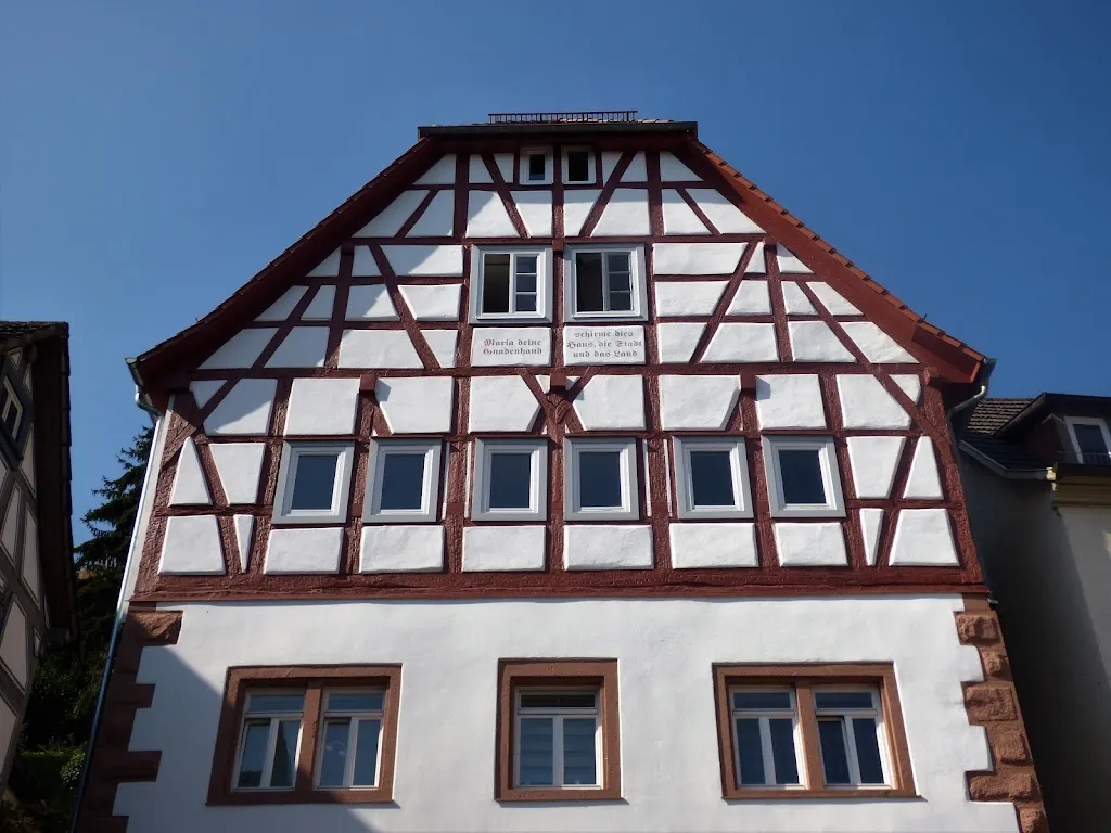 Naturheilpraxis Heiligenthal_Hirschhorn_slider_imagen_1