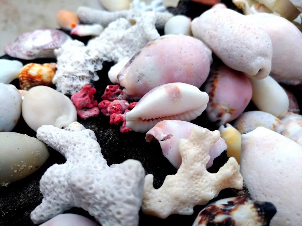 Deine Doula-Carina Appl_Isernhagen Farster Bauerschaft_slider_image_2