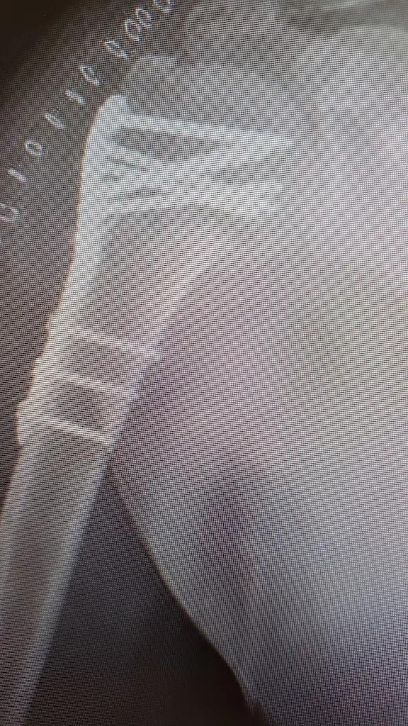 Hastafisio Srl médecin à Asti
