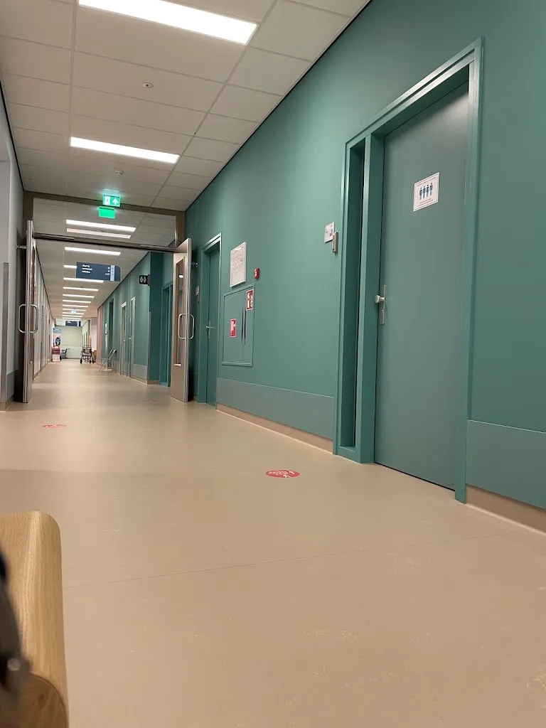 Laurentius Hospital in America