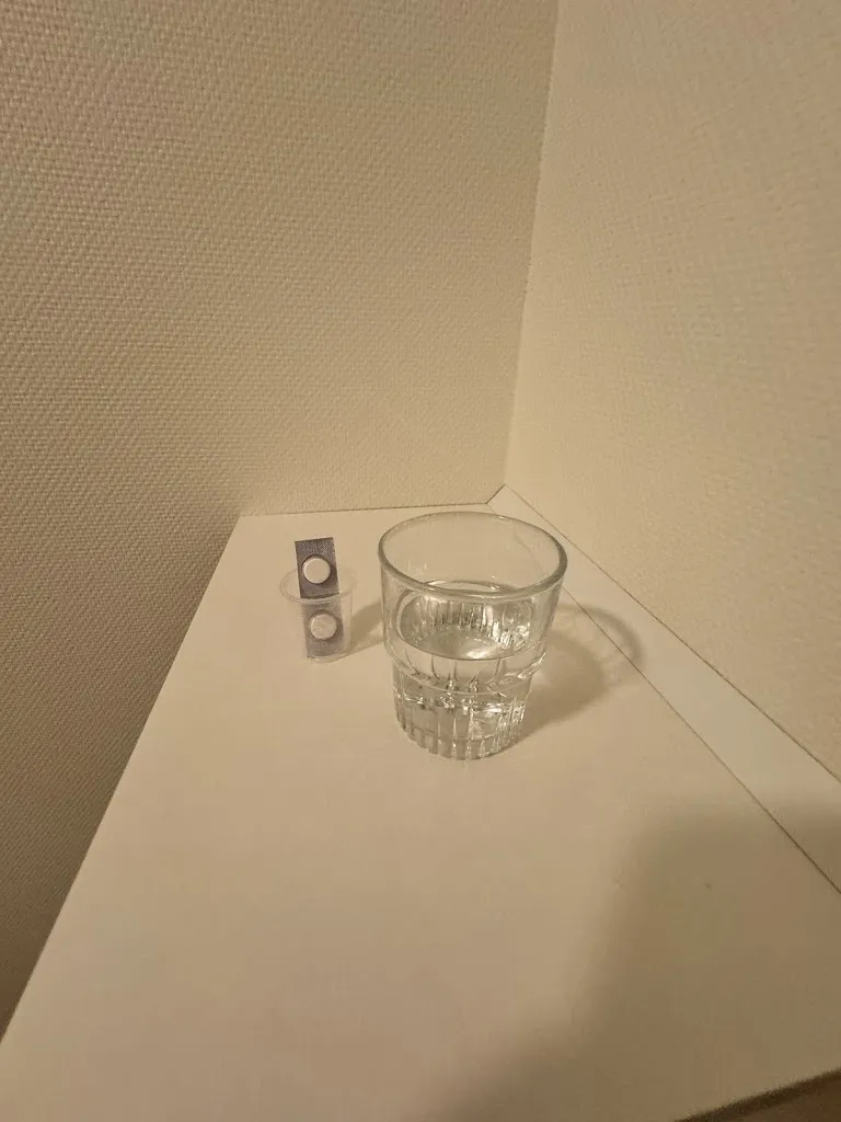 De Tsjongerskâns_image_2