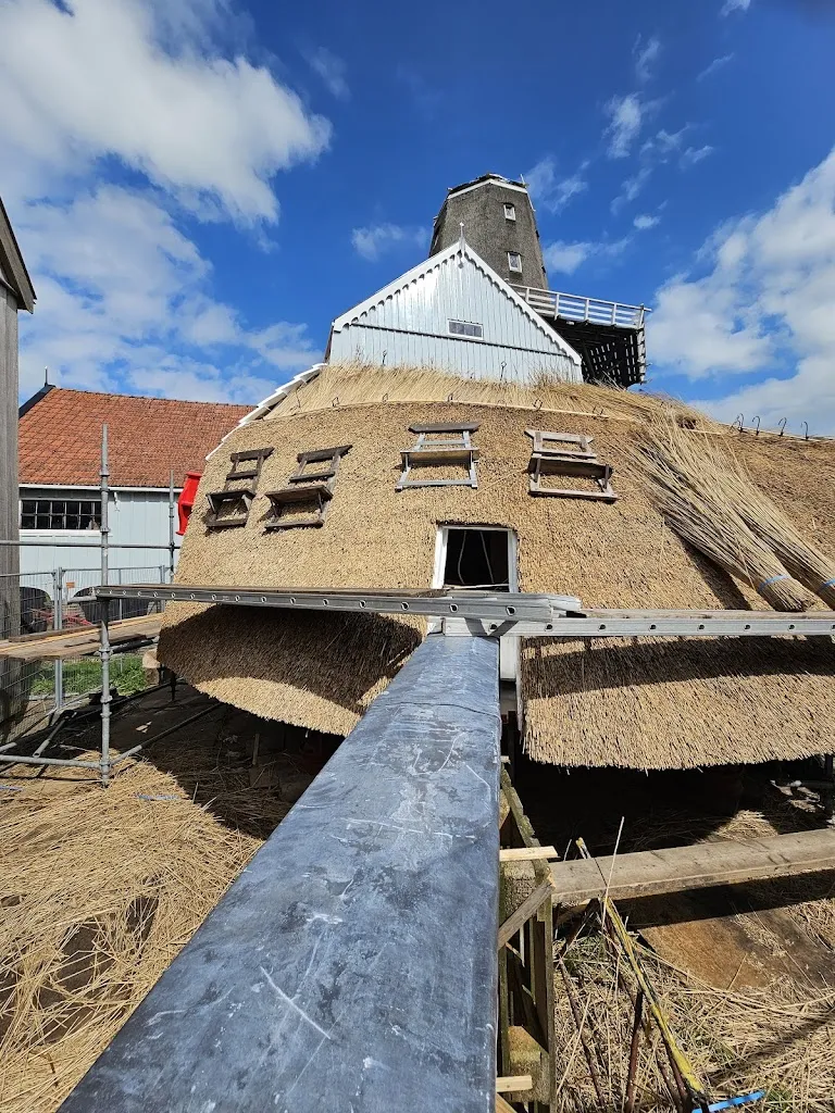 Burdaard_image_2