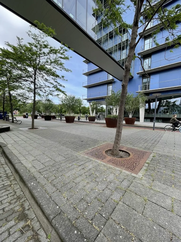 Leiden University Medical Center (LUMC) in Leiden