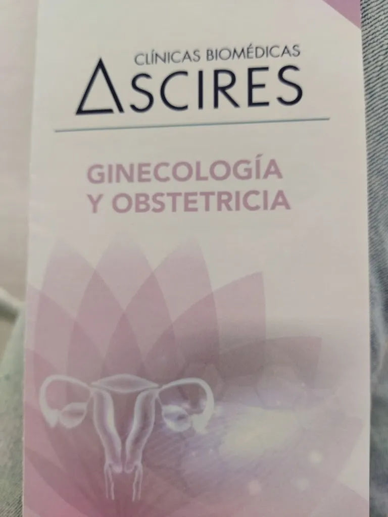 Ascires Xàtiva_image_2