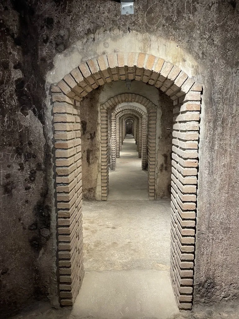 Celler Masroig_image_1