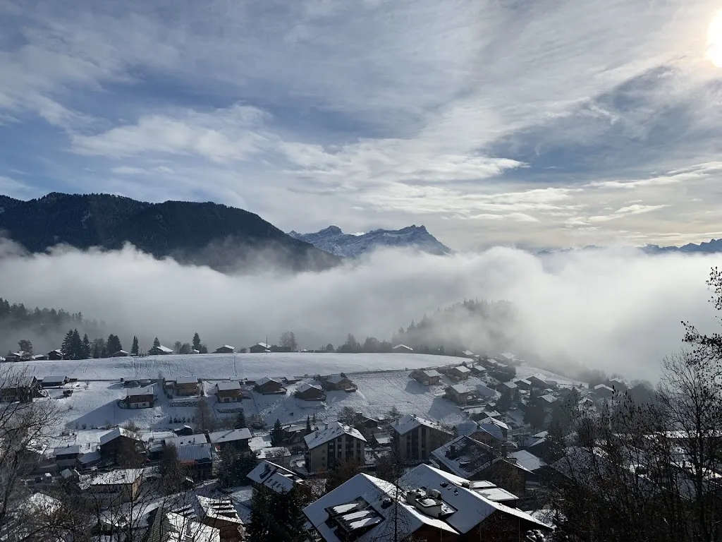 Leysin Med - Dre S. Schmalz Ott - Dre E. Rikley