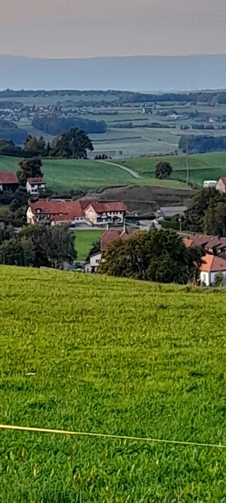 Hévéa