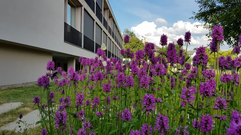 Spital Emmental Langnau