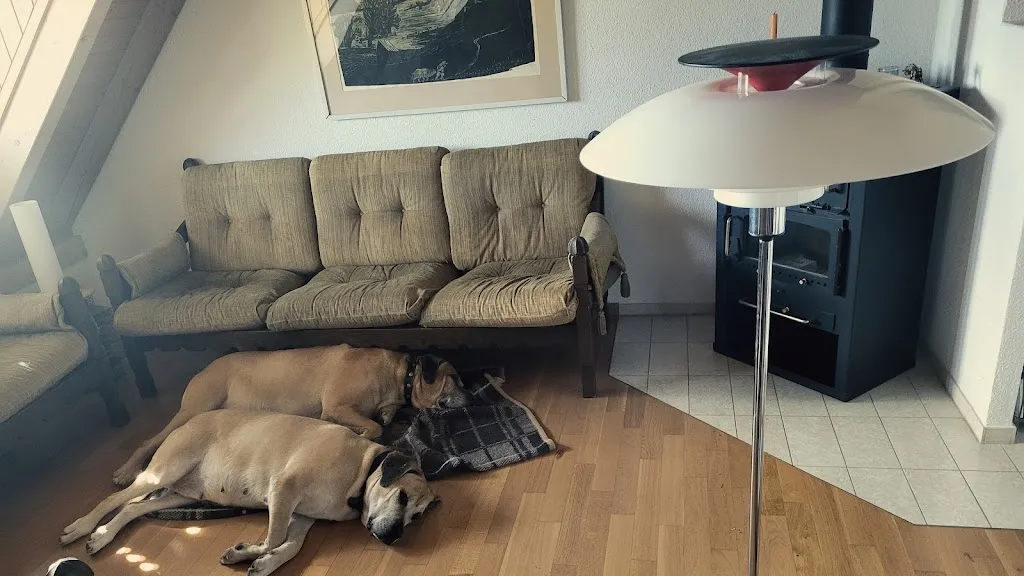 Günter Ruprat_animaldoc AG - Das Gesundheitszentrum für Kleintiere_Friltschen_review