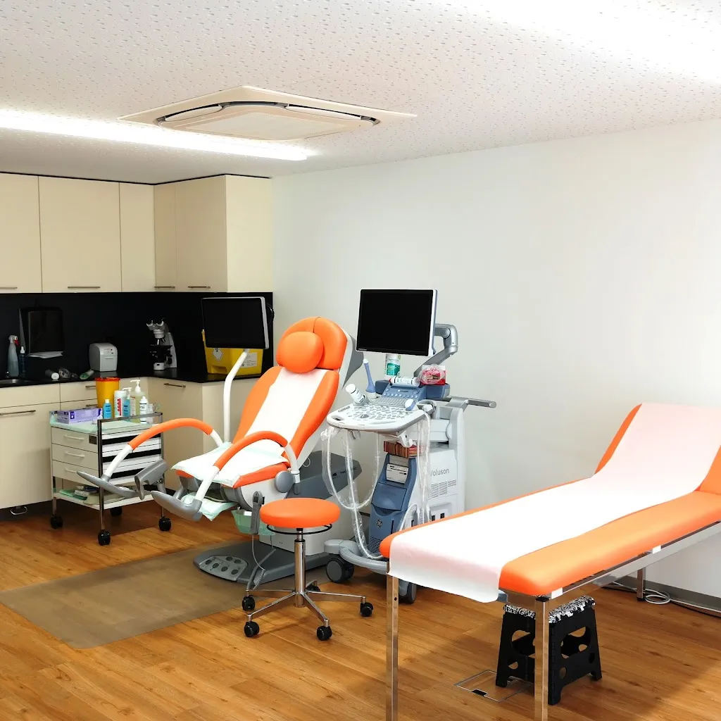 Cabinet de Gynecologie et Obstetrique du Haut-Lac
