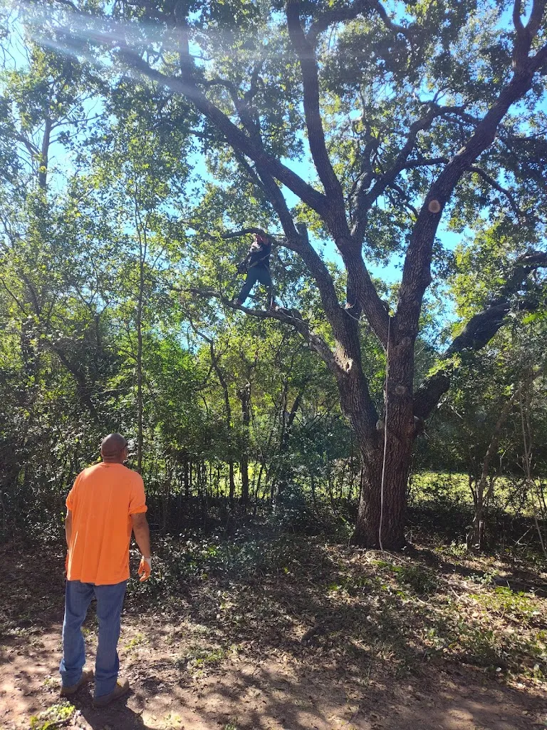 Kenneth Paulk_Prairie View A And M University Owens Franklin Health Center_Prairie View, Texas_reseña