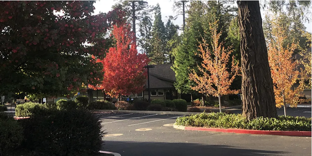 Paradise Medical Group (Adult Medicine)_Butte County, California_slider_image_2