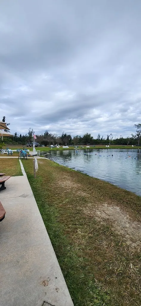 Robert Looney_Spring Water_Warm Mineral Springs, Florida_reseña