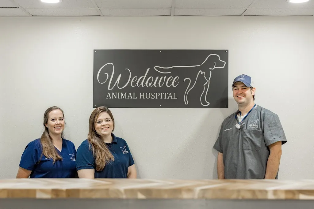 Tanner Healthcare for Women - Wedowee médecin à Wedowee, Alabama