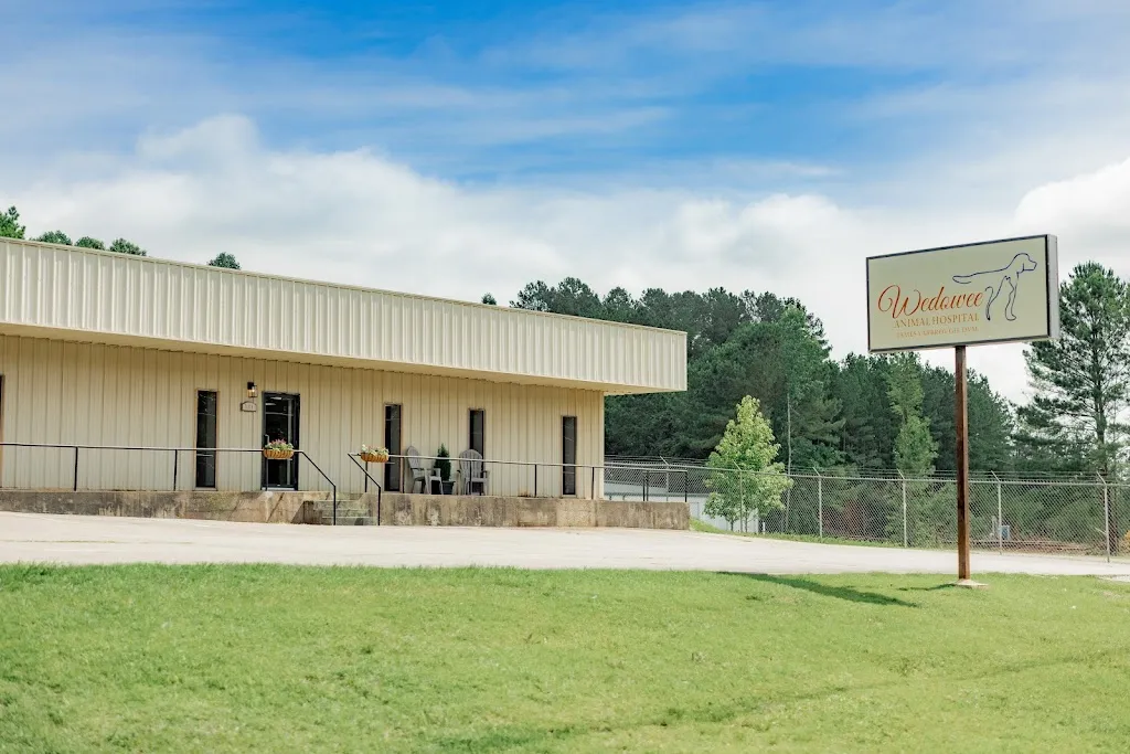 Tanner Healthcare for Women - Wedowee_Wedowee, Alabama_slider_image_2