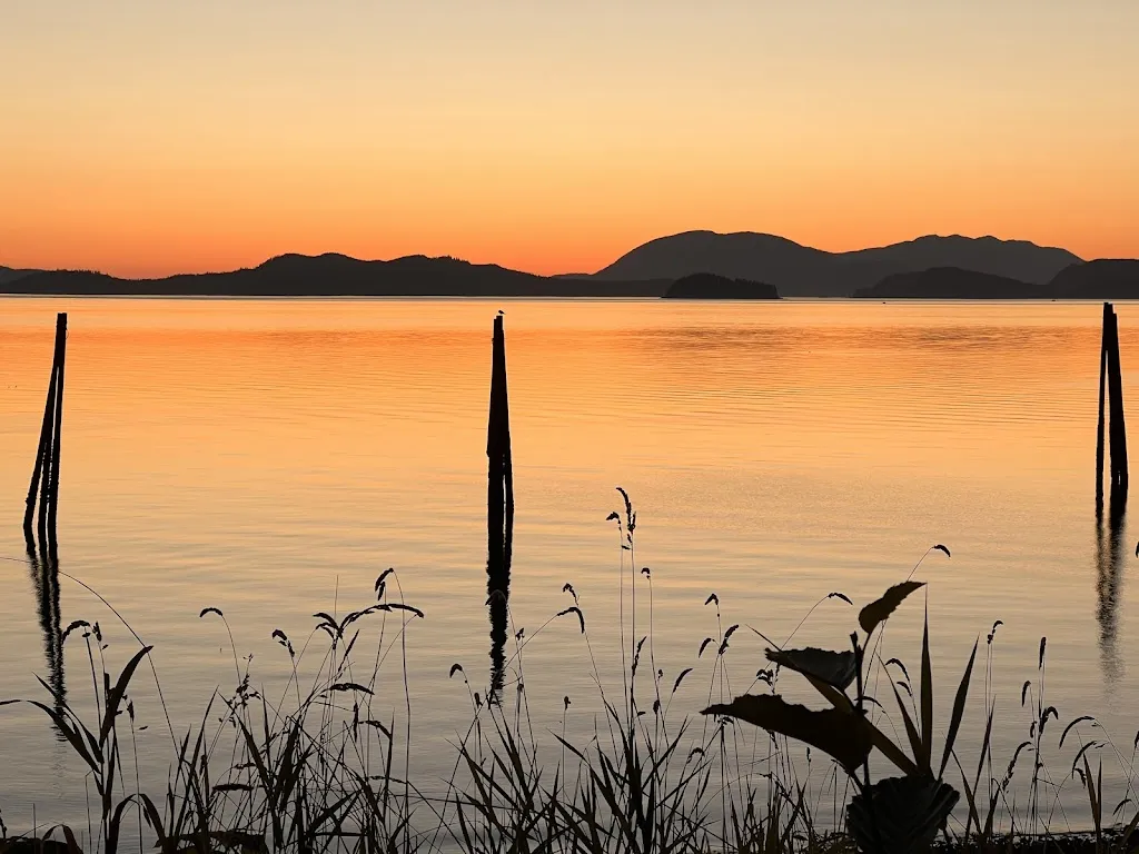 Wrangell City Park